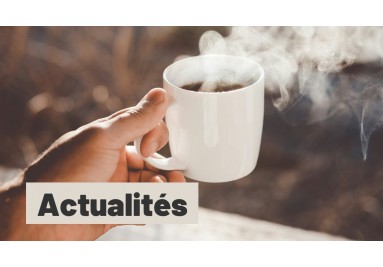 Actualit&eacute;s de votre Ma&icirc;tre torr&eacute;facteur 
